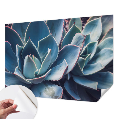 Fototapetas vaiko kambariui Žaliasis alavijas