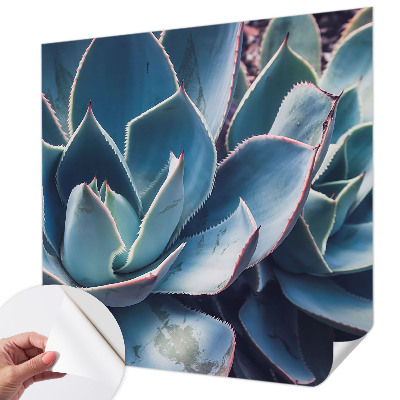 Fototapetas vaiko kambariui Žaliasis alavijas