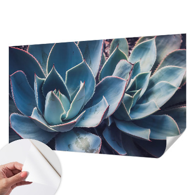 Fototapetas vaiko kambariui Žaliasis alavijas