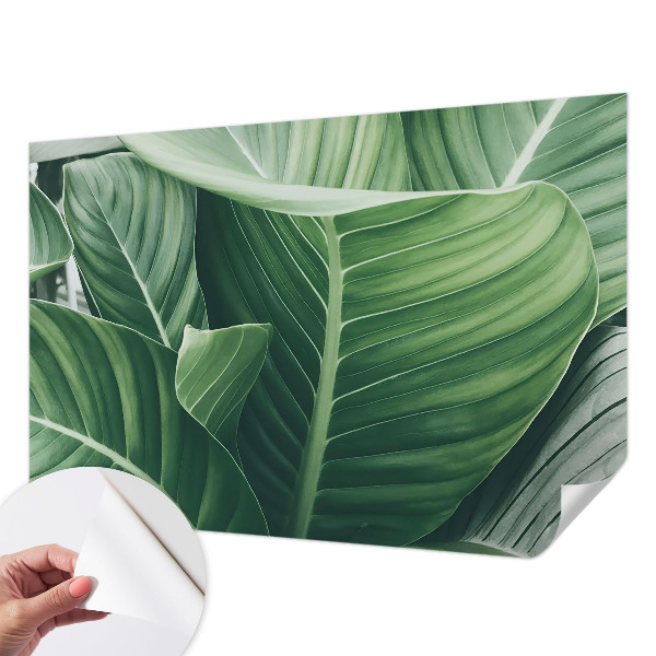 Savaime lipnus fototapetas Grøn fred