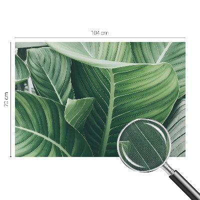 Savaime lipnus fototapetas Grøn fred