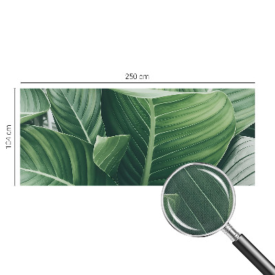 Savaime lipnus fototapetas Grøn fred