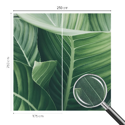 Savaime lipnus fototapetas Grøn fred