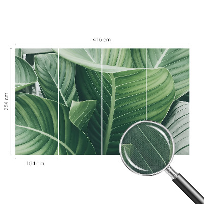 Savaime lipnus fototapetas Grøn fred