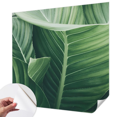 Savaime lipnus fototapetas Grøn fred