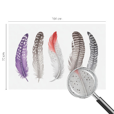 Savaime lipnus fototapetas Mønstrede fjer