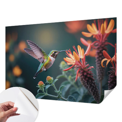 3D fototapetas sienoms su kolibriu