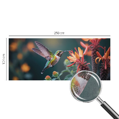 3D fototapetas sienoms su kolibriu