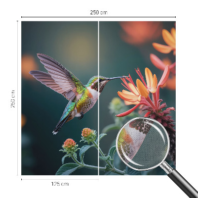 3D fototapetas sienoms su kolibriu