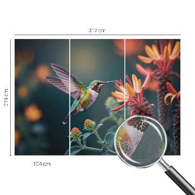 3D fototapetas sienoms su kolibriu