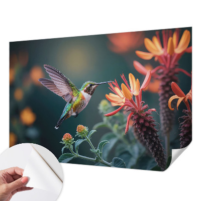 3D fototapetas sienoms su kolibriu