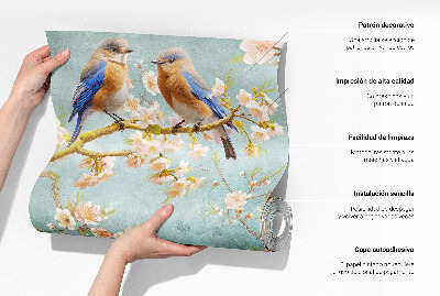 3D fototapetas sienoms Kolibris