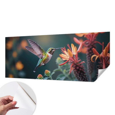 3D fototapetas sienoms su kolibriu