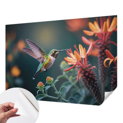 3D fototapetas sienoms su kolibriu