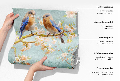 3D fototapetas sienoms Kolibris