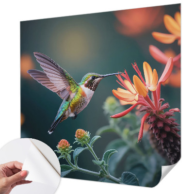 3D fototapetas sienoms su kolibriu