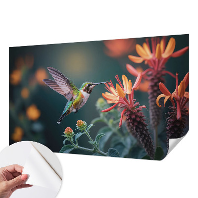 3D fototapetas sienoms su kolibriu