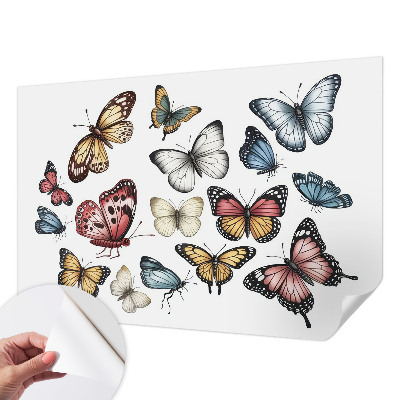 Fototapetai Rojaus vasaros fuglis