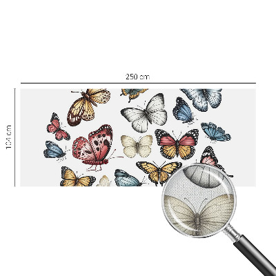 Fototapetai Rojaus vasaros fuglis