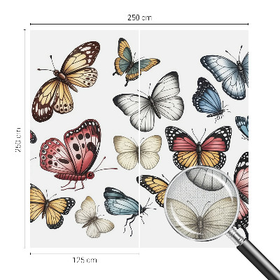 Fototapetai Rojaus vasaros fuglis