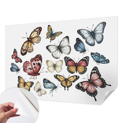 Fototapetai Rojaus vasaros fuglis