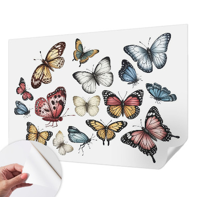 Fototapetai Rojaus vasaros fuglis