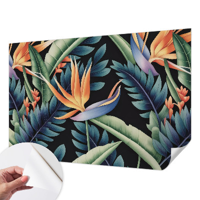 Fototapetai Paradis-tema