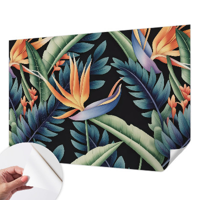 Fototapetai su „Paradis“ motyvu