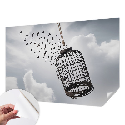 3D fototapetas Flyvende fugle