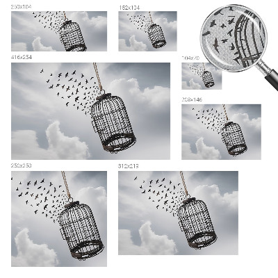 3D fototapetas Flyvende fugle