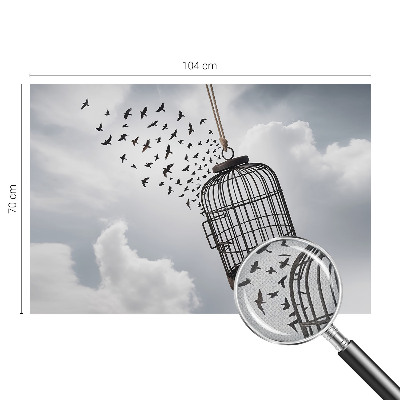 3D fototapetas Flyvende fugle