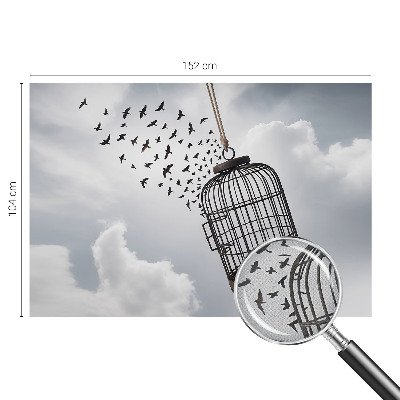 3D fototapetas Flyvende fugle