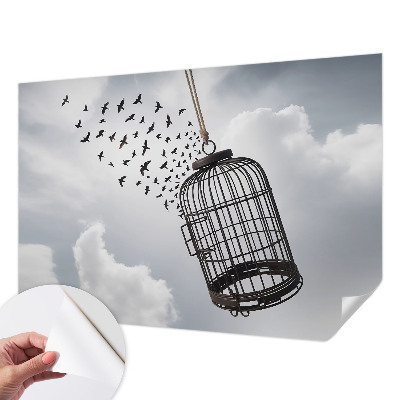 3D fototapetas Flyvende fugle