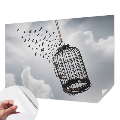 3D fototapetas Flyvende fugle