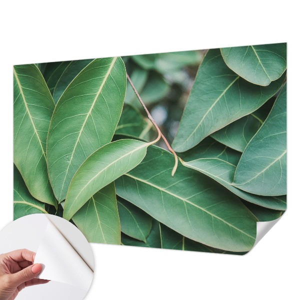 3D fototapetas Grønne peilis