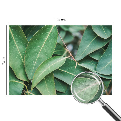 3D fototapetas su žaliu peilio motyvu