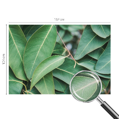 3D fototapetas su žaliu peilio motyvu