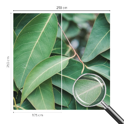 3D fototapetas su žaliu peilio motyvu