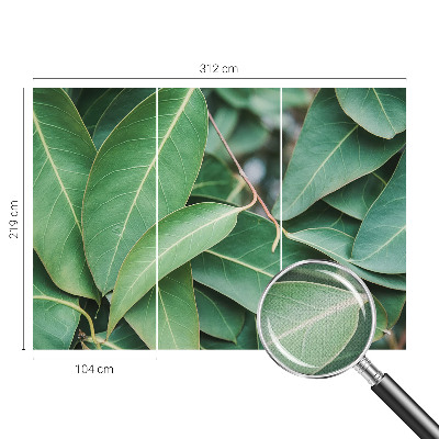 3D fototapetas su žaliu peilio motyvu