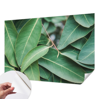 3D fototapetas su žaliu peilio motyvu