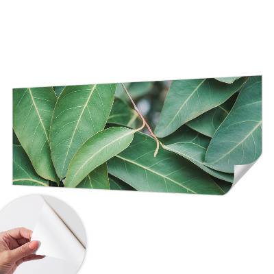3D fototapetas su žaliu peilio motyvu