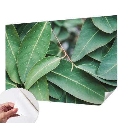 3D fototapetas Grønne peilis