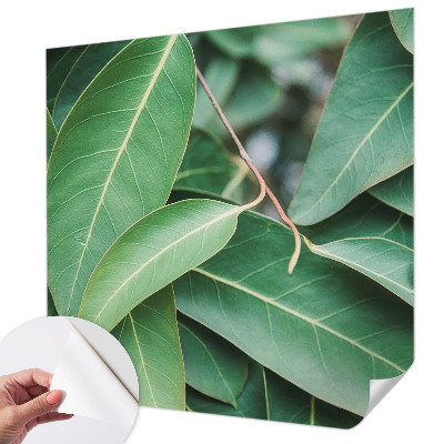 3D fototapetas Grønne peilis