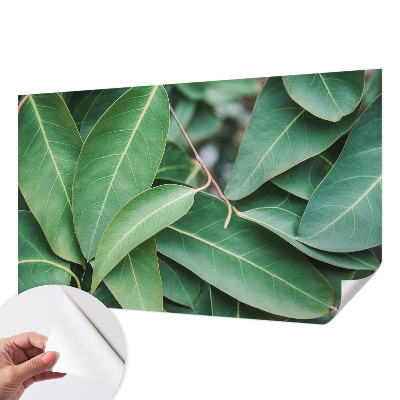 3D fototapetas Grønne peilis