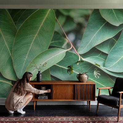 3D fototapetas Grønne peilis