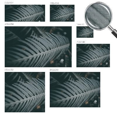 Fototapetai Grønt Blad