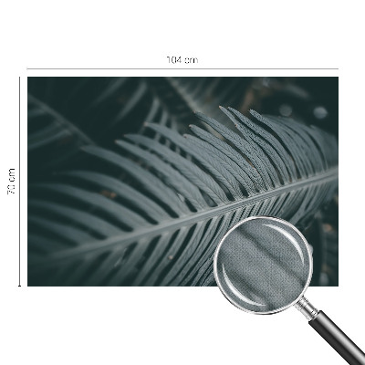 Fototapetai Grønt Blad