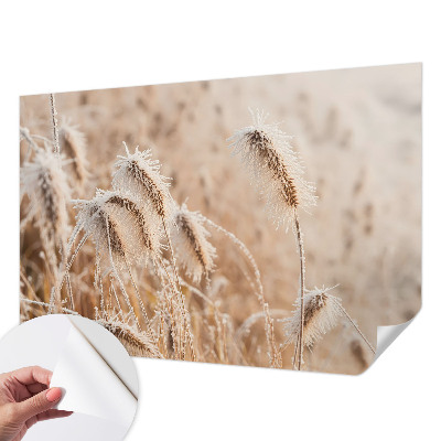 Savaime lipnus fototapetas Žiemos šalis