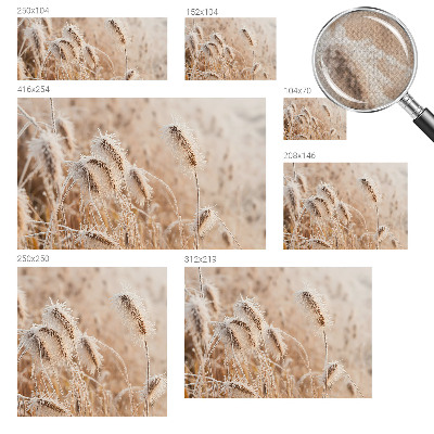 Savaime lipnus fototapetas Žiemos šalis