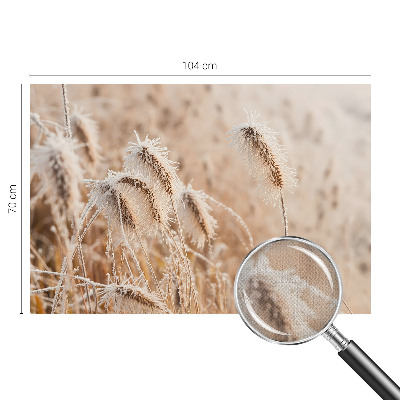 Savaime lipnus fototapetas Žiemos šalis